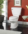 Champion® Skyline Right Height™ Elongated Toilet Champion® Skyline Right Height™ Elongated Toilet