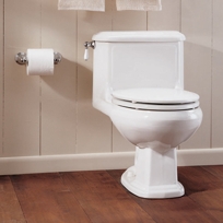 Williamsburg One-Piece Elongated Toilet