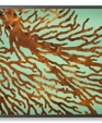 sea fan lightbox